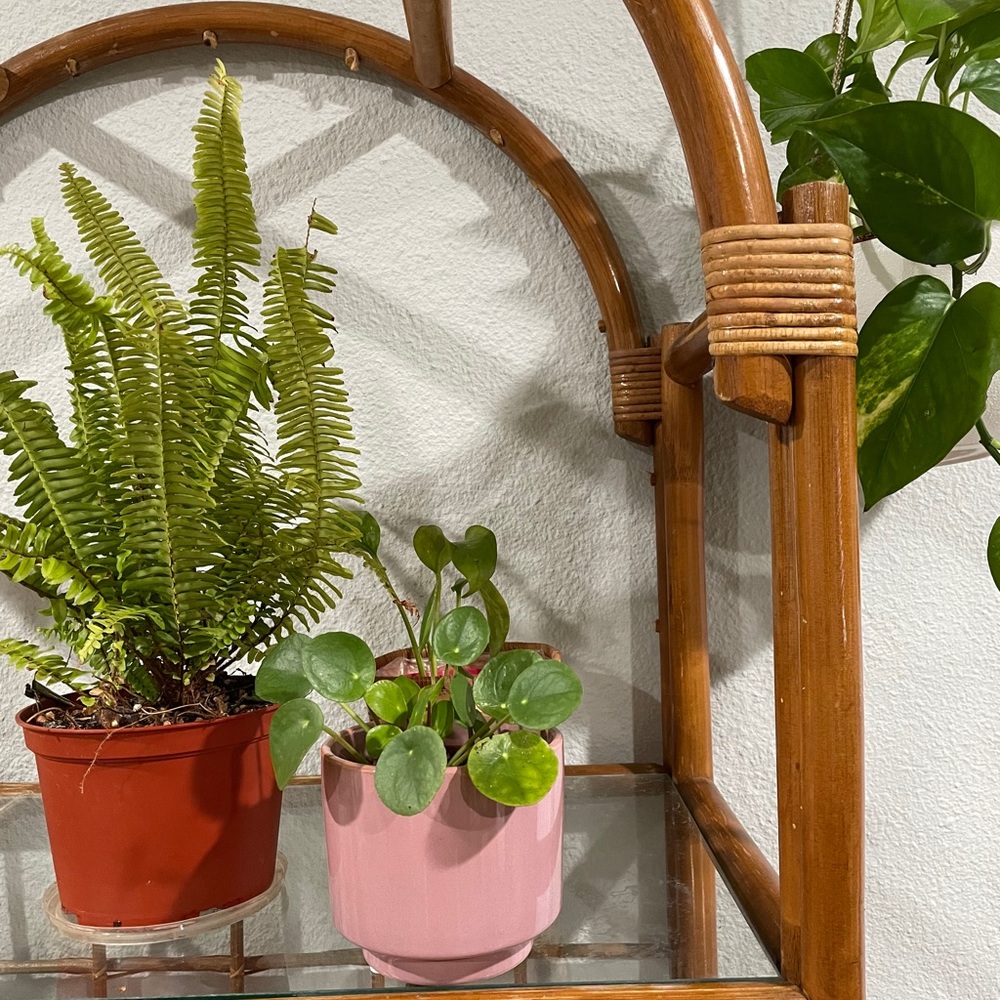 Pink ceramic pot